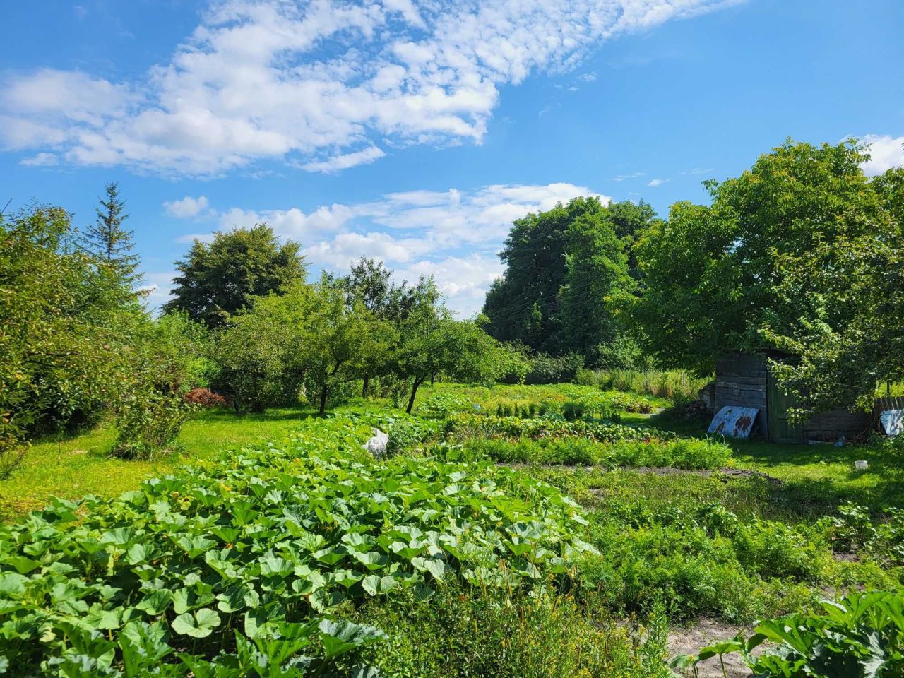 Działka budowlana Chełm, ul. Metalowa. Zdjęcie 2