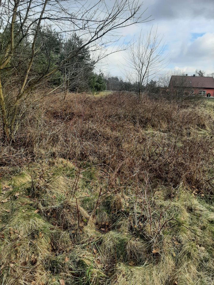 Działka budowlana Bargłówka, ul. Raciborska. Zdjęcie 3
