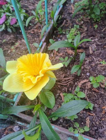 Mieszkanie 1-pokojowe Warszawa Żoliborz, ul. ks. Jerzego Popiełuszki. Zdjęcie 1