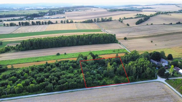 Działka budowlana Giebło. Zdjęcie 2