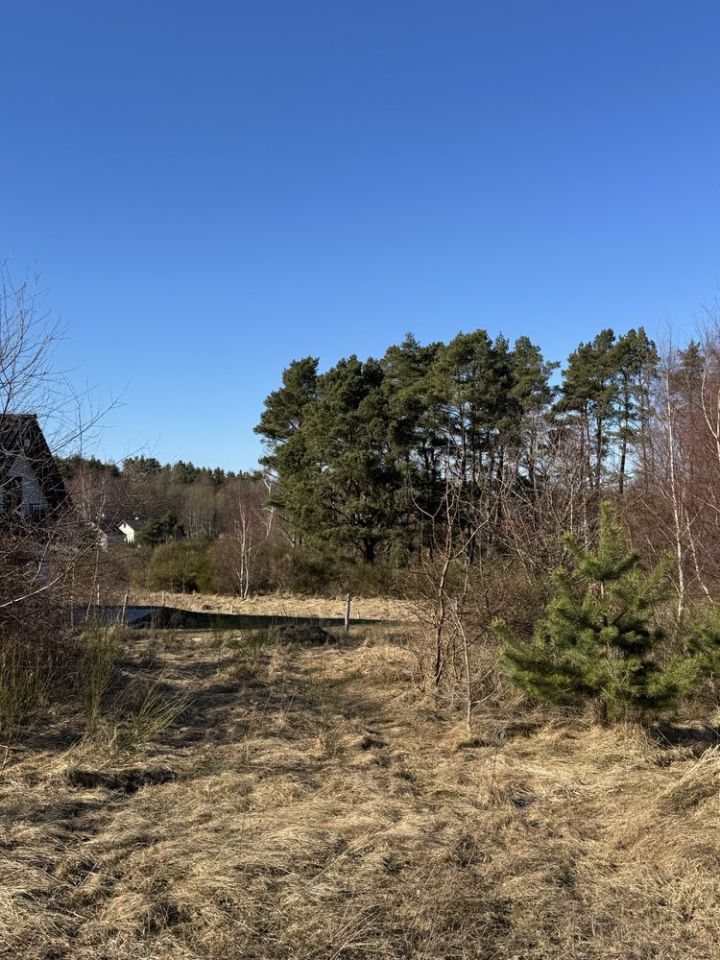 Działka budowlana Dębina, ul. Zacisze Słowika. Zdjęcie 3