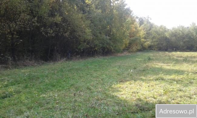 Działka Zagórzany. Zdjęcie 5