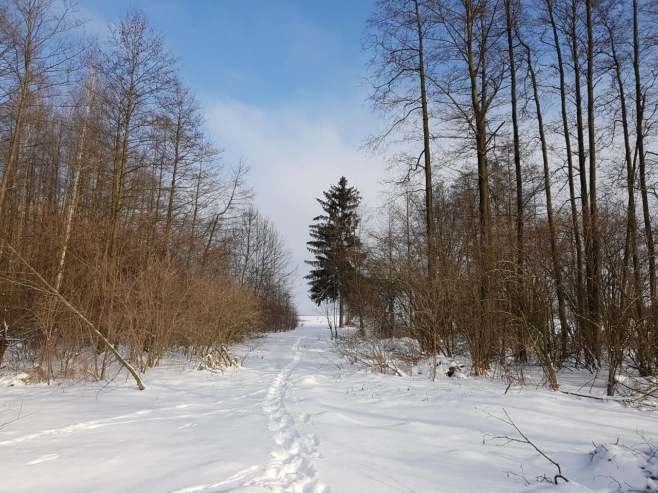 dom wolnostojący, 1 pokój Ostrownica-Kolonia Warszawka. Zdjęcie 6