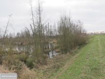 Działka rolna Szczekarków-Kolonia. Zdjęcie 3