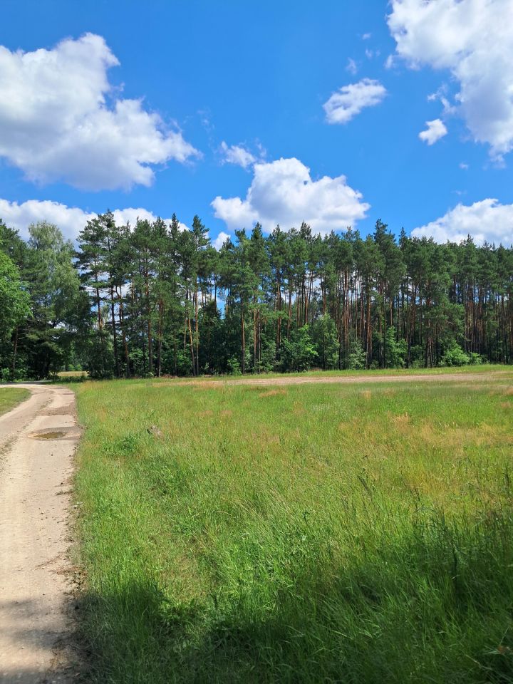 Działka budowlana Kurzelów Laski, ul. Laski. Zdjęcie 7