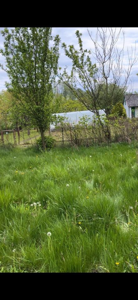Działka rod Gorzów Wielkopolski. Zdjęcie 4
