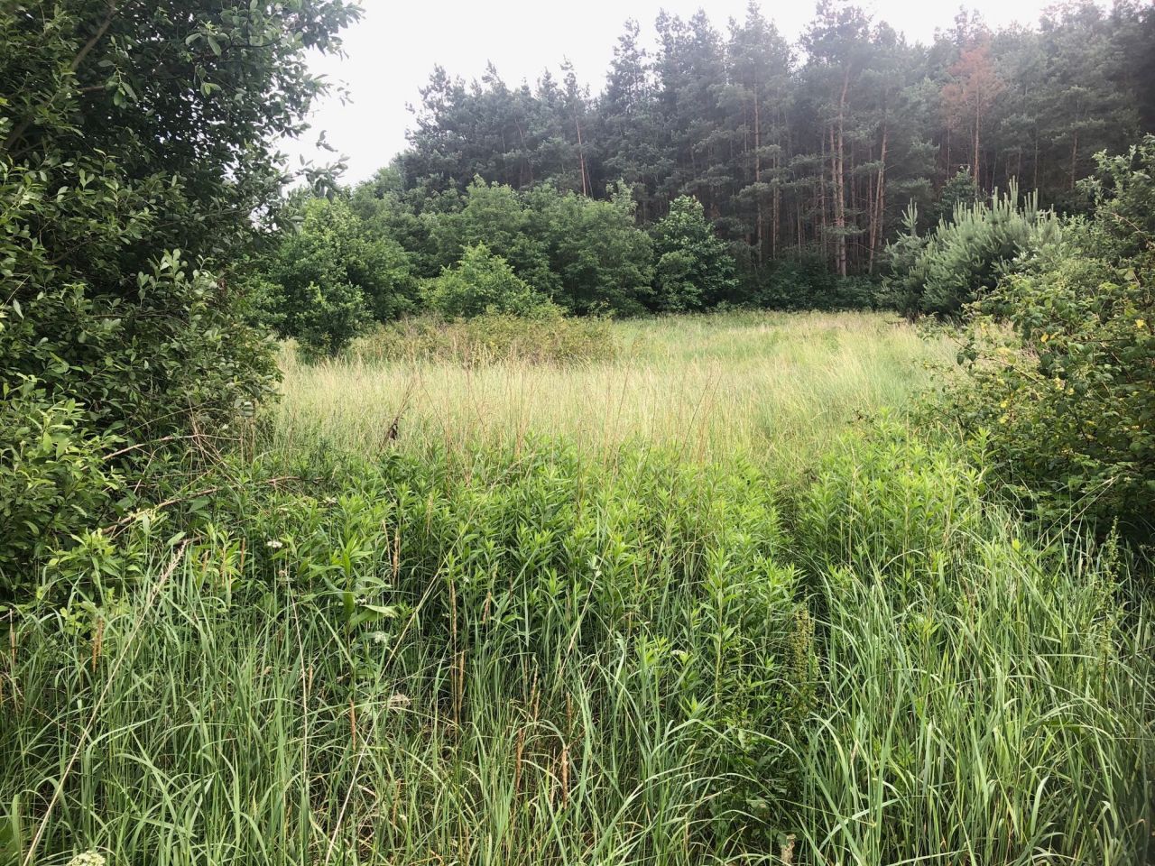 Działka budowlana Koprzywnica, ul. Floriańska. Zdjęcie 4