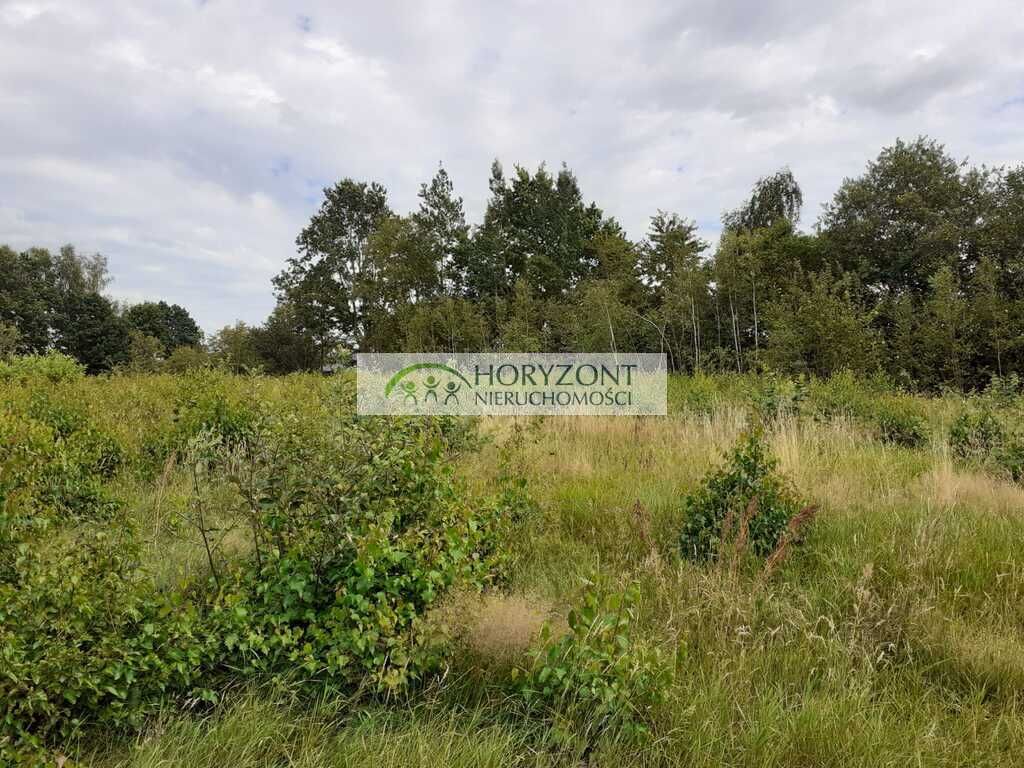 Działka budowlana Mściszewice. Zdjęcie 15