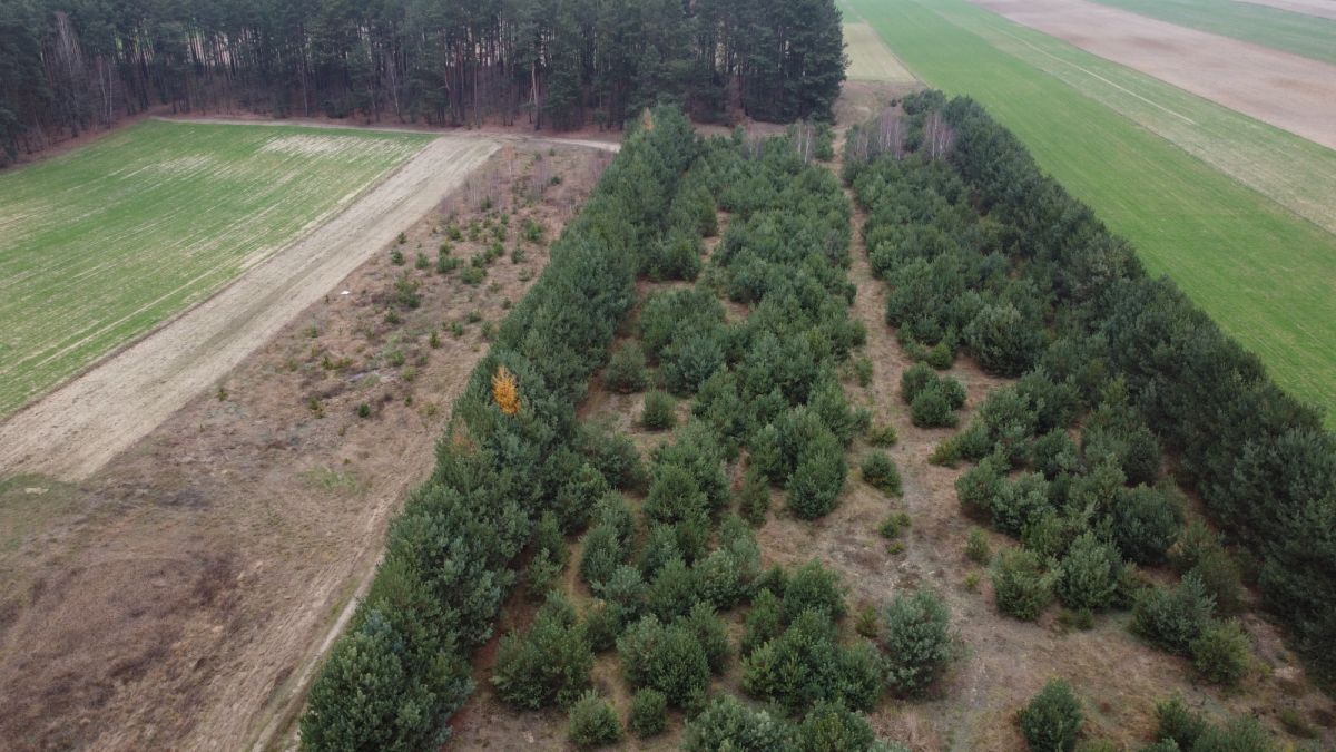 Działka budowlana Przeradowo