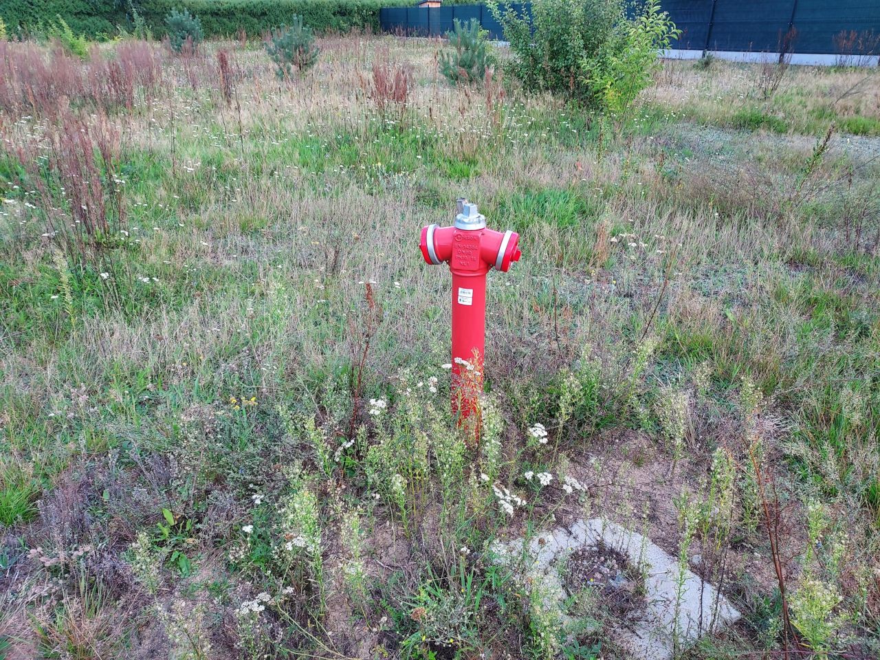 Działka budowlana Marżynek. Zdjęcie 4