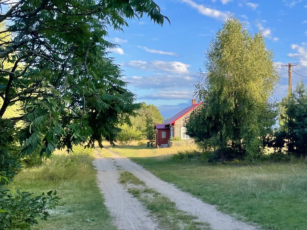 Działka siedliskowa Lubiejki. Zdjęcie 4