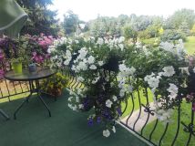 dom wolnostojący, 6 pokoi Mniów Raszówka, ul. Raszówka. Zdjęcie 4