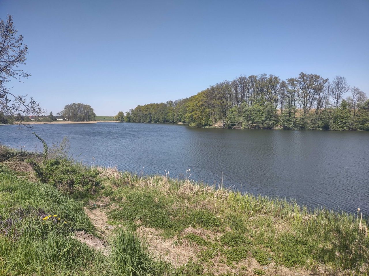 Działka rolno-budowlana Białochowo. Zdjęcie 5