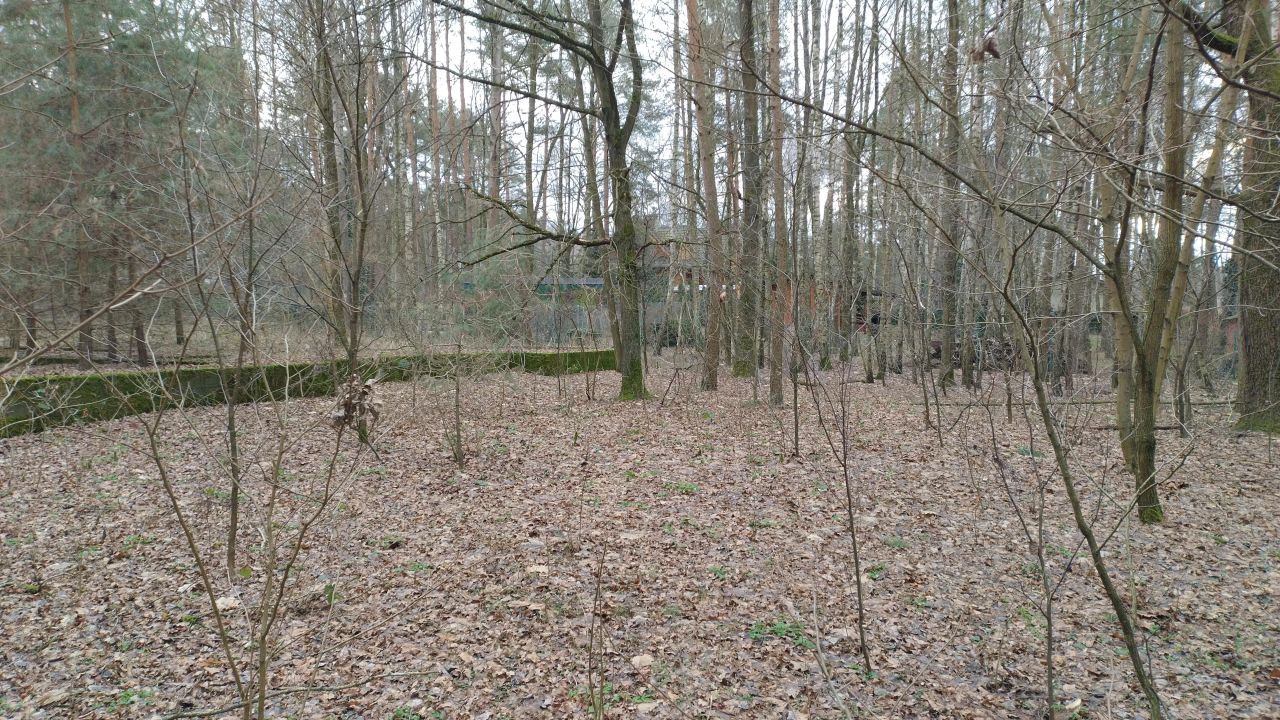 Działka budowlana Zofiówka, ul. Cmentarna. Zdjęcie 21