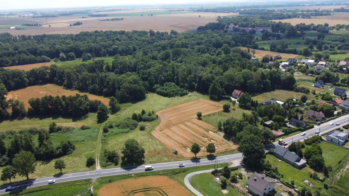 Działka budowlana Mirosławice. Zdjęcie 2