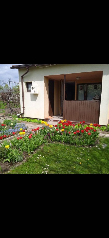 Działka rod Zabrzeg. Zdjęcie 2