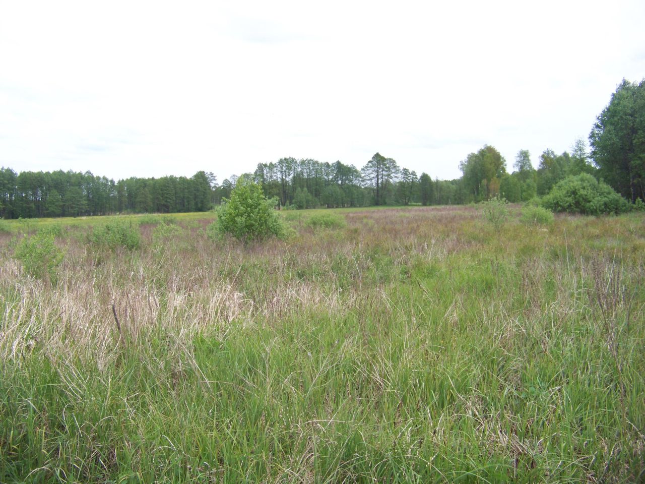 Działka rolna Jakubiki. Zdjęcie 2