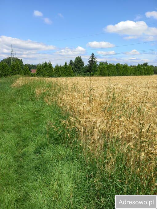 Działka budowlana Bielsko-Biała Komorowice Krakowskie. Zdjęcie 3