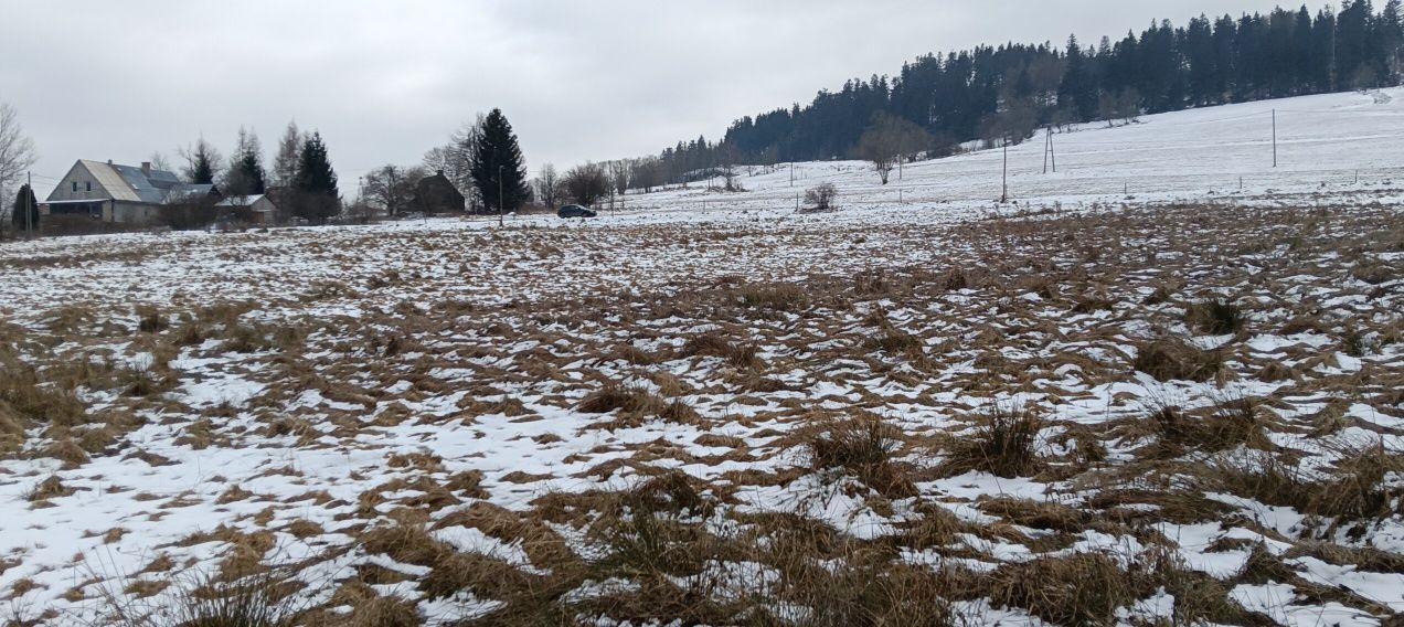 Działka budowlana Dworki. Zdjęcie 5