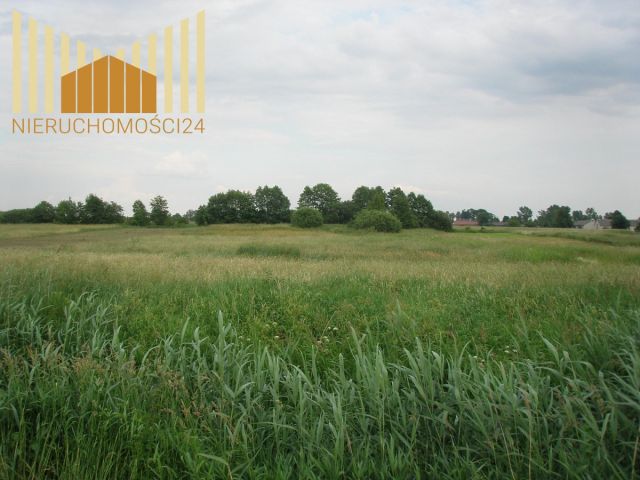 Działka rolna Siennica. Zdjęcie 2