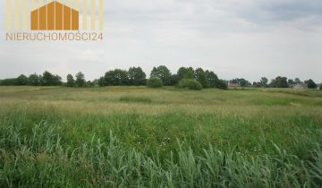 Działka rolna Siennica