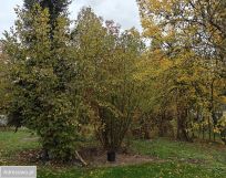 dom wolnostojący, 2 pokoje Wólka Kolczyńska. Zdjęcie 3