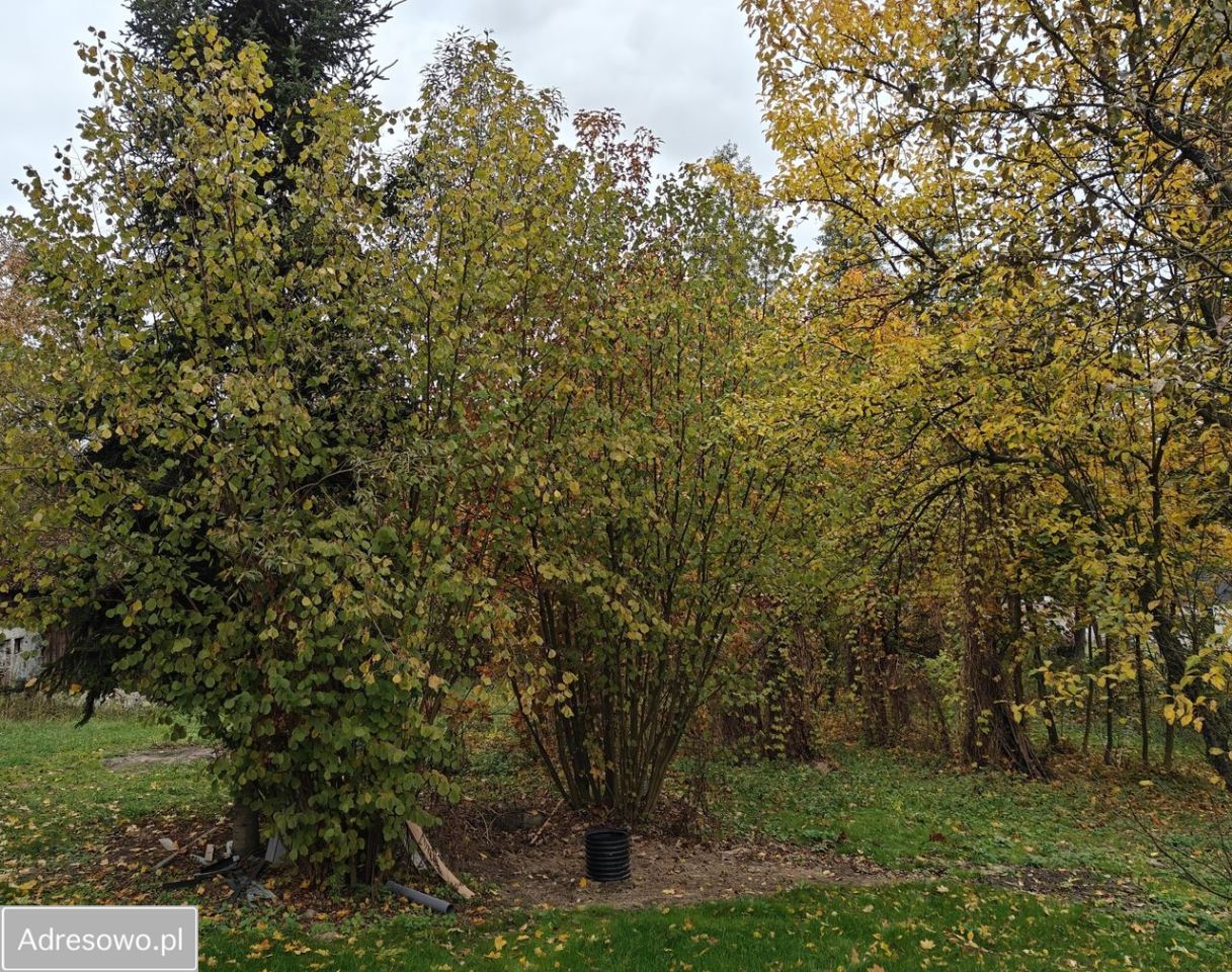 dom wolnostojący, 2 pokoje Wólka Kolczyńska. Zdjęcie 4