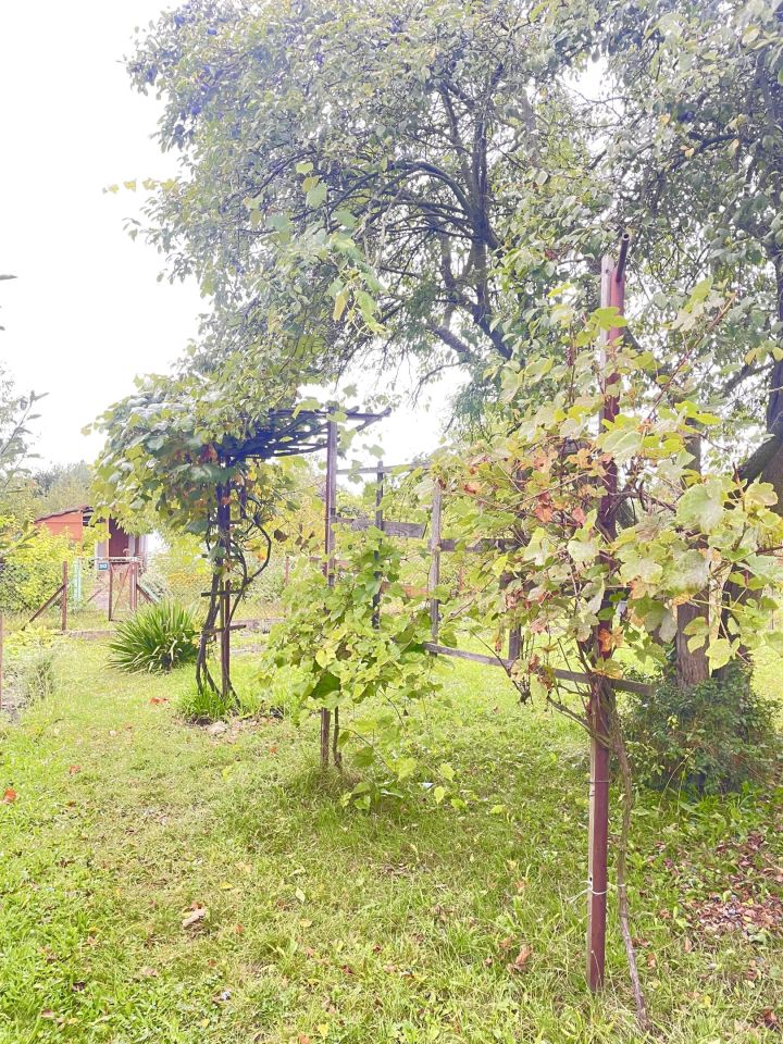 Działka rod Wrocław Partynice. Zdjęcie 13