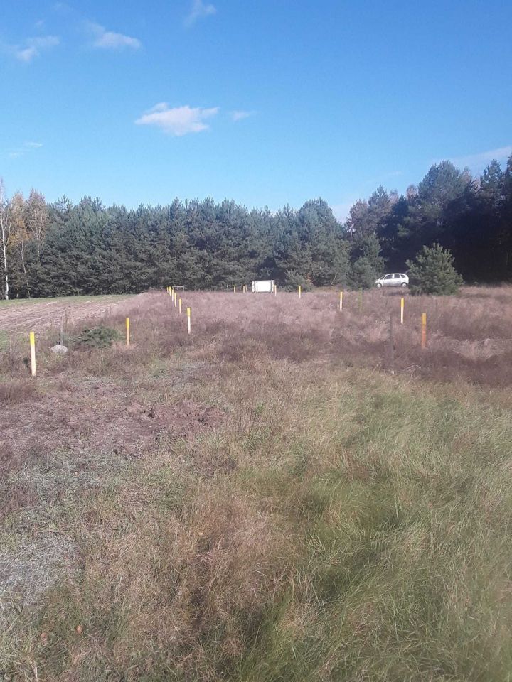 Działka rolno-budowlana Ostrówka. Zdjęcie 6