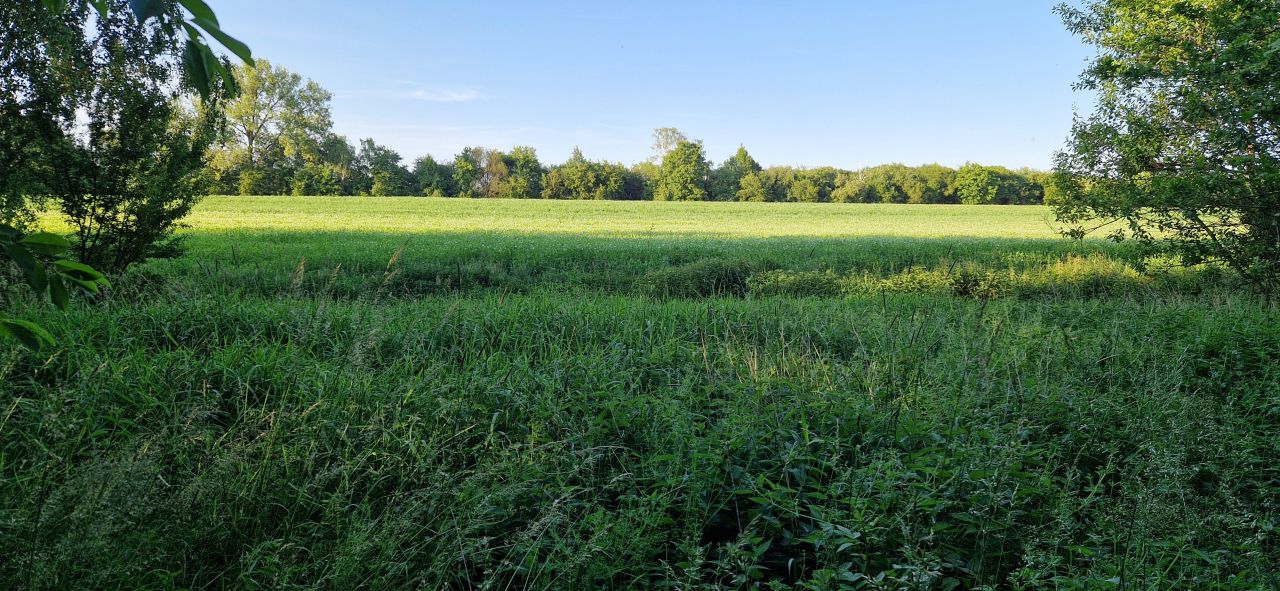 Działka rekreacyjna Prusinowiczki, Prusinowiczki. Zdjęcie 2