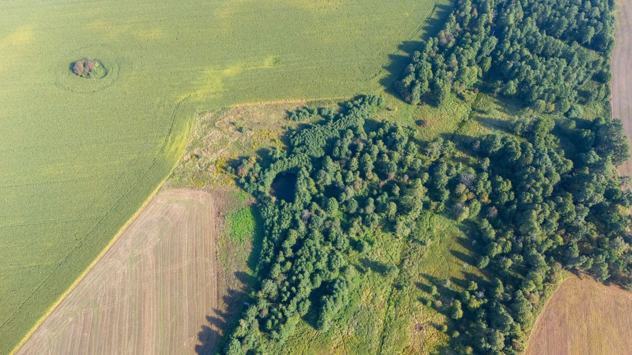 Działka rolno-budowlana Gołębiewo. Zdjęcie 4