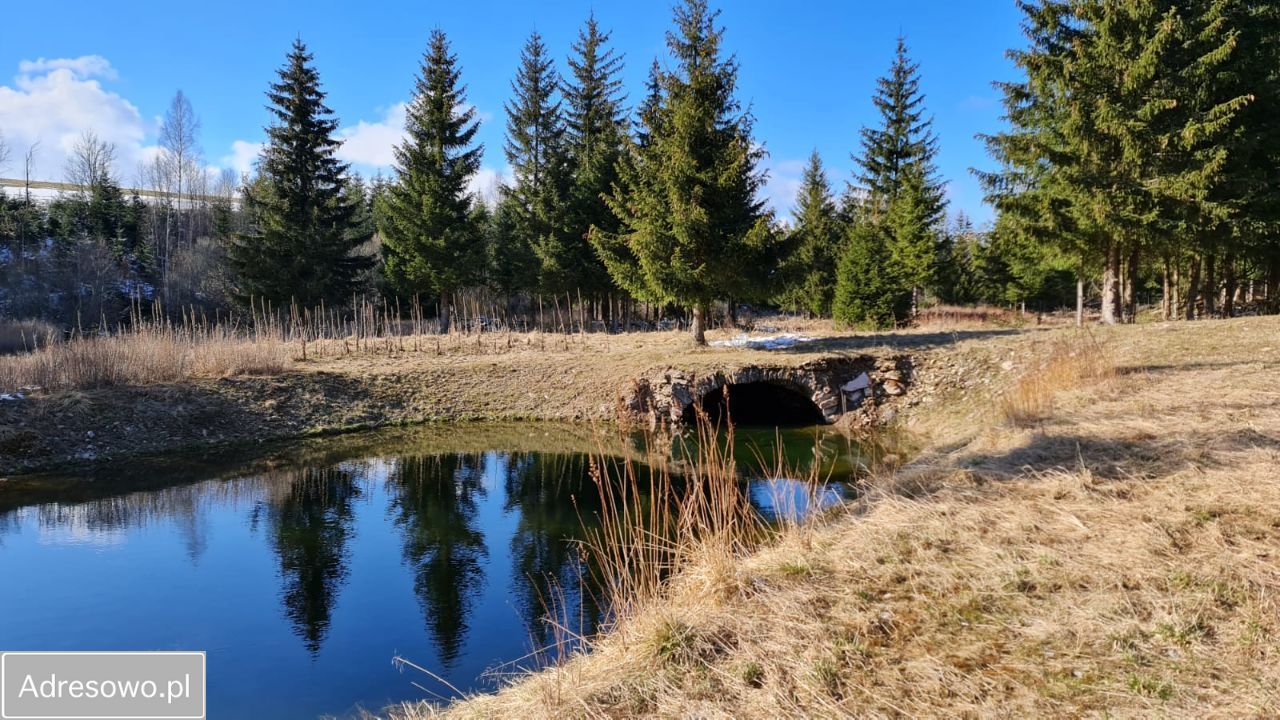 Działka rekreacyjna Piaskowice. Zdjęcie 7