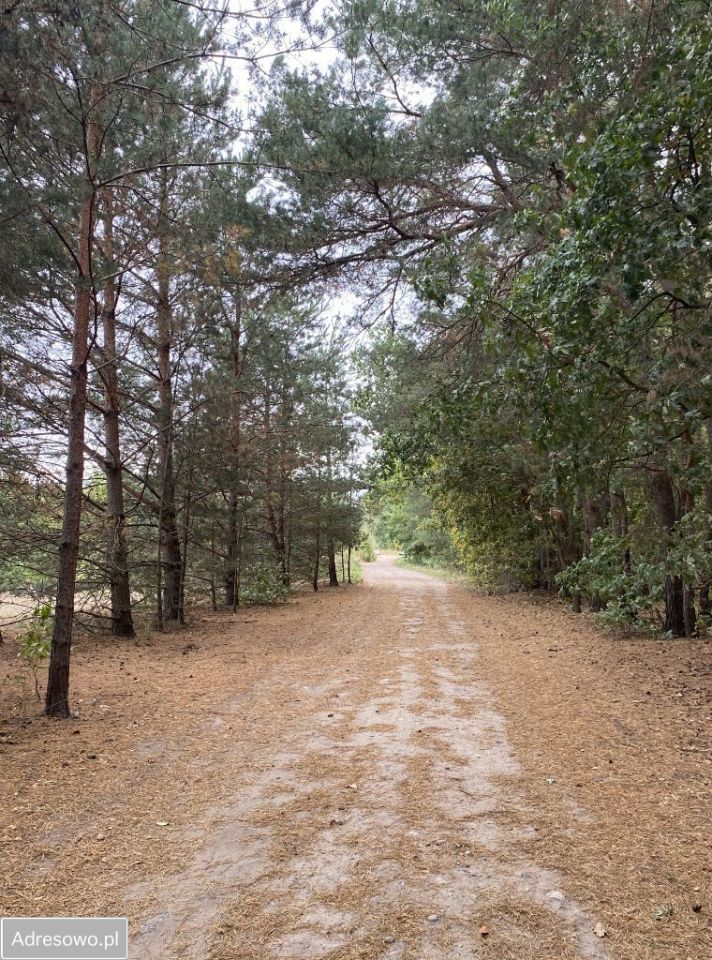 Działka budowlana Nadarzyn, ul. Liliowa. Zdjęcie 7