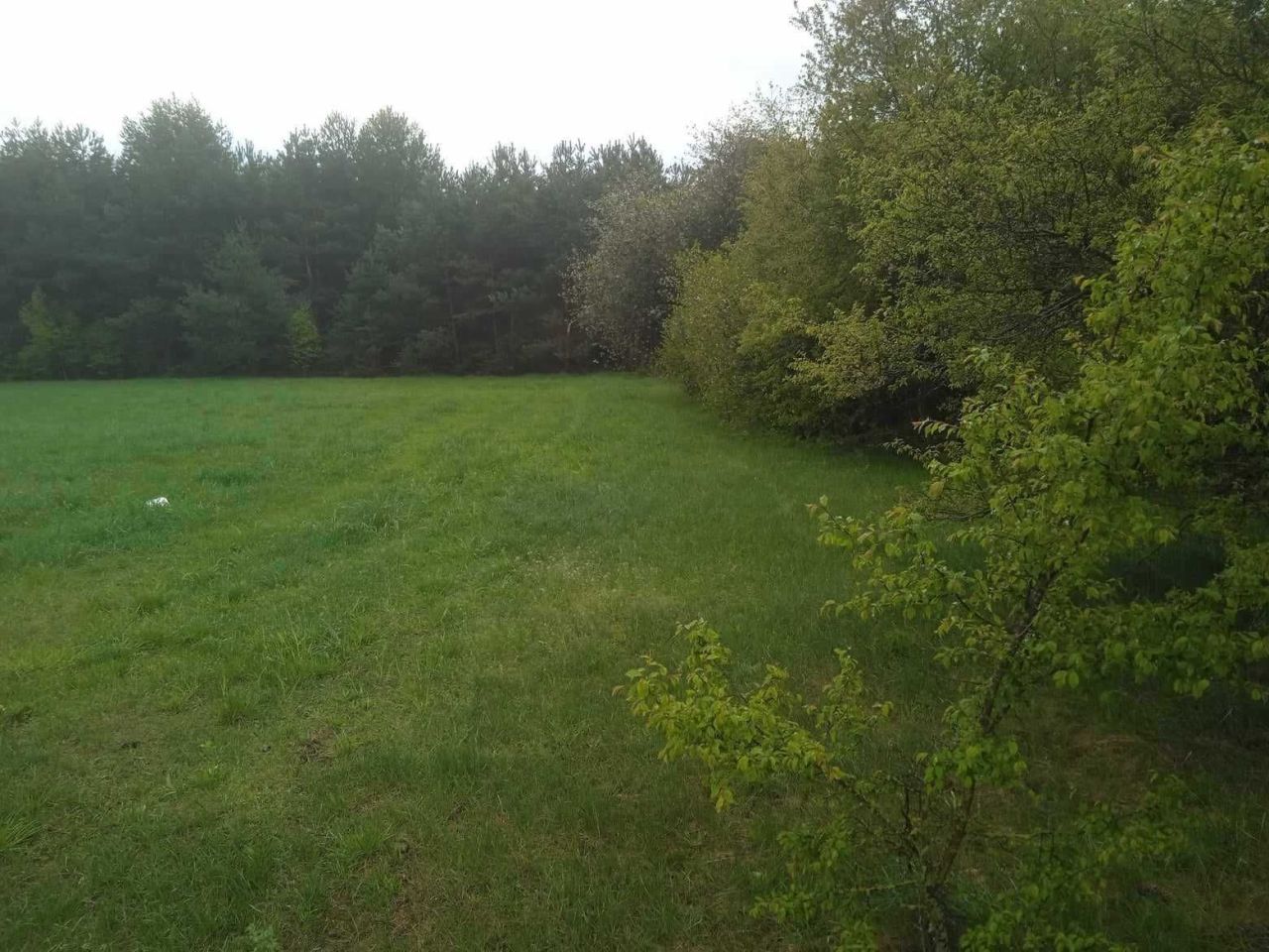 Działka siedliskowa Wysokie Małe. Zdjęcie 4