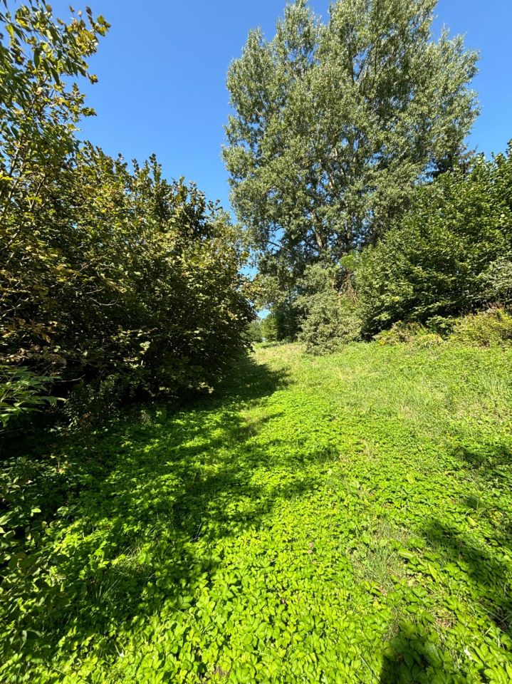 Działka rolna Góry Wysokie. Zdjęcie 5