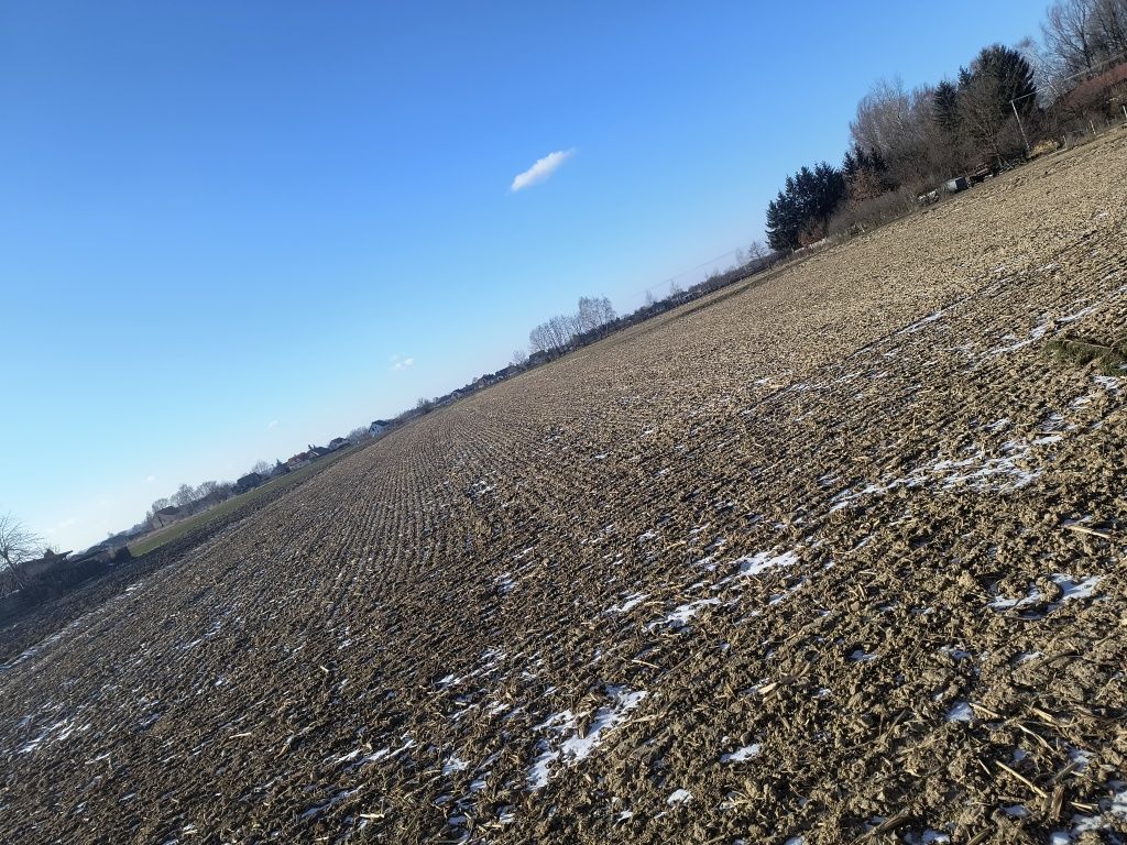 Działka budowlana Sędziszów Małopolski, ul. Jaśminowa