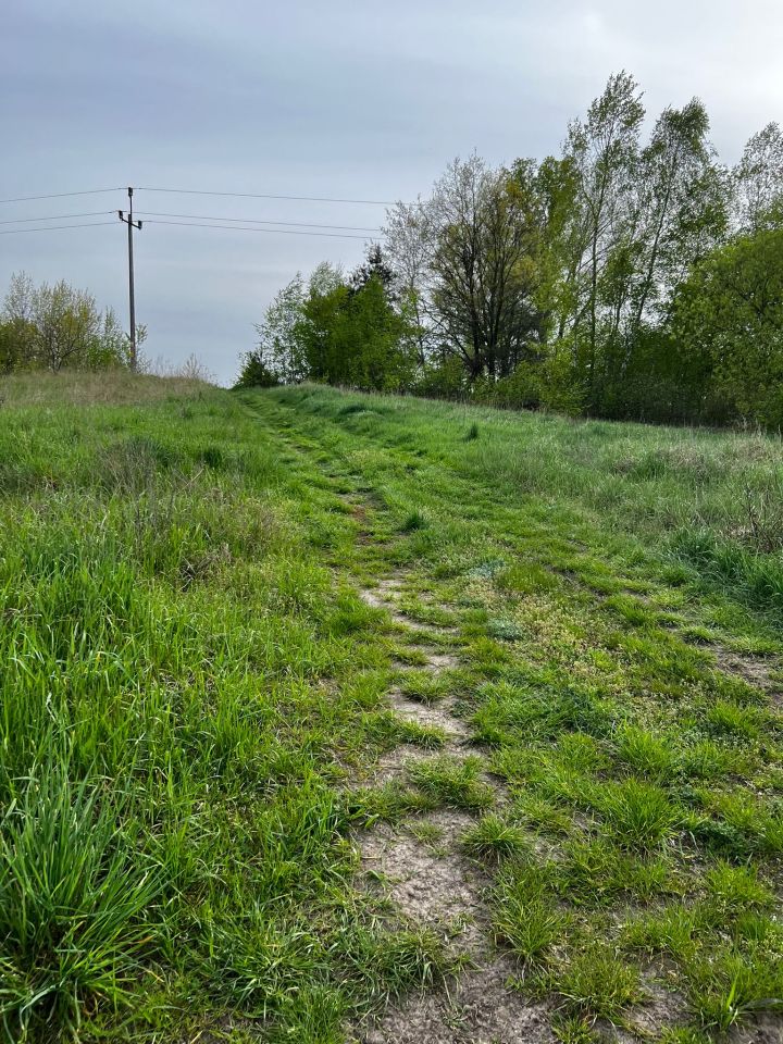 Działka rolna Kolsko, Kolsko. Zdjęcie 3