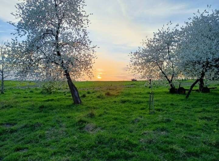 siedlisko, 4 pokoje Czelatyce Góra. Zdjęcie 14