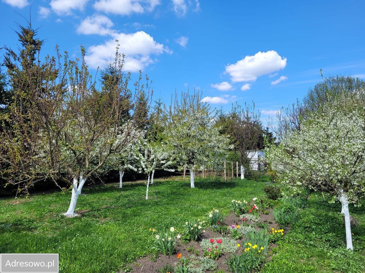 dom wolnostojący Kłonówek. Zdjęcie 17