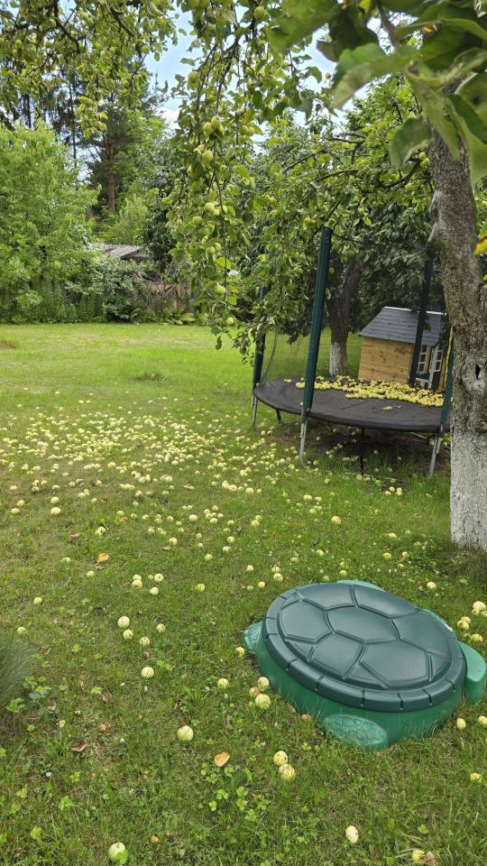 Działka rod Sosnowiec, ul. gen. Władysława Andersa. Zdjęcie 8