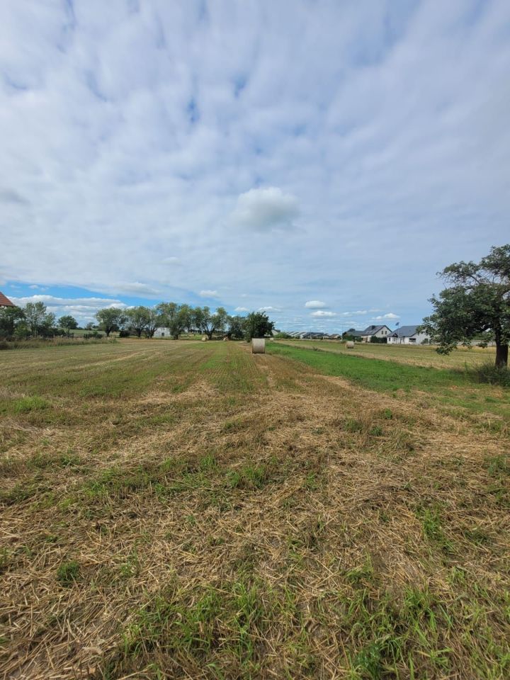 Działka budowlana Otusz. Zdjęcie 6