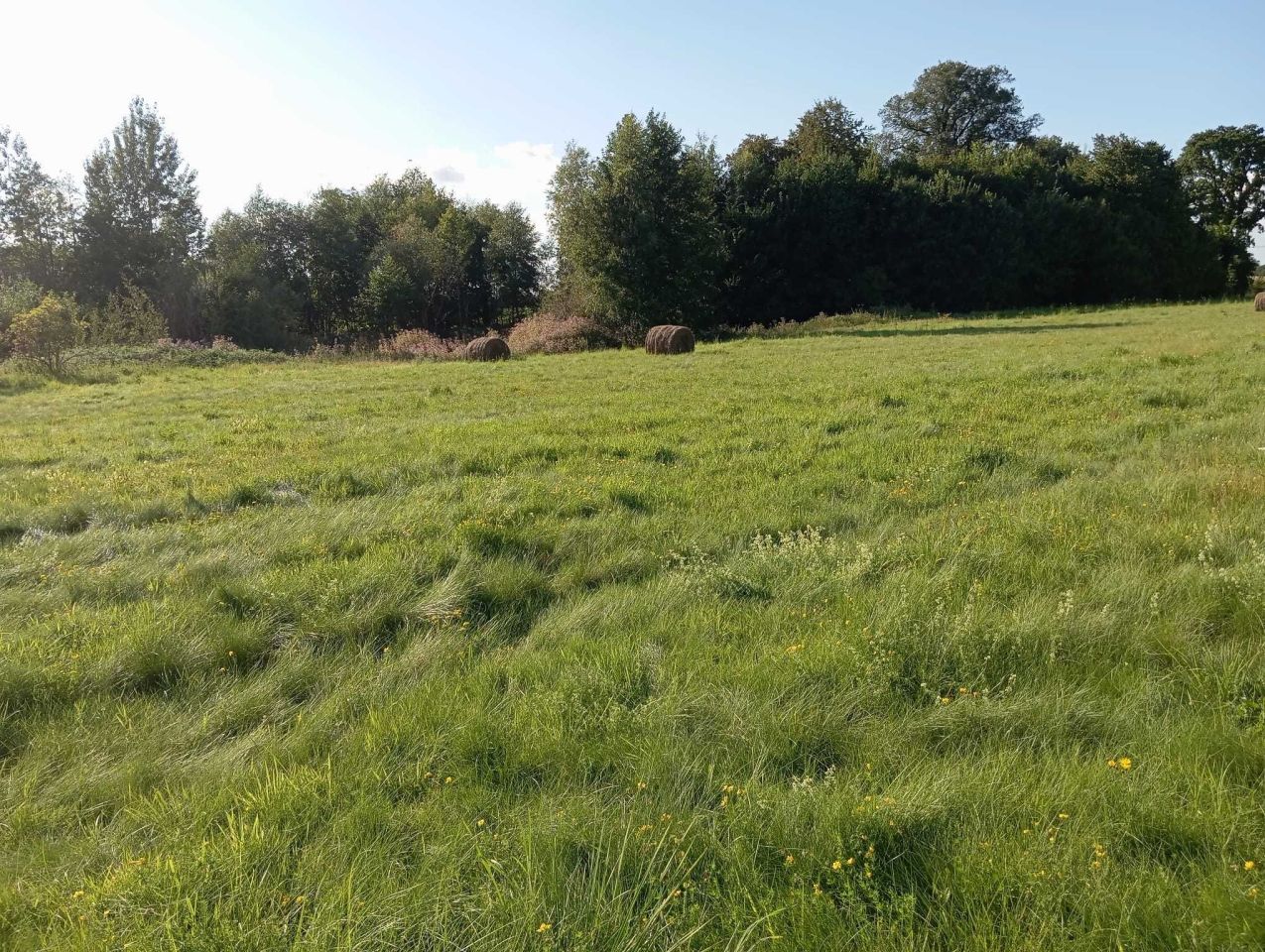 Działka rolno-budowlana Urowo. Zdjęcie 8