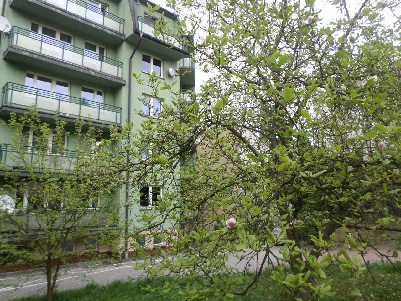 Mieszkanie 1-pokojowe Kraków Salwator, ul. Królowej Jadwigi. Zdjęcie 13