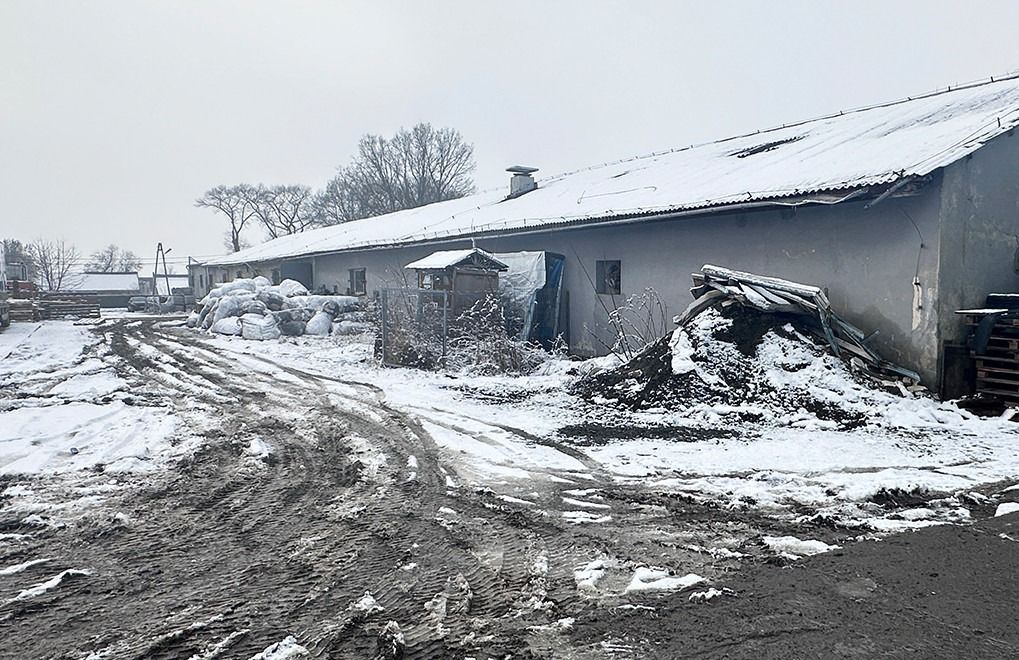 Hala/magazyn Racibórz, ul. Wiejska. Zdjęcie 4