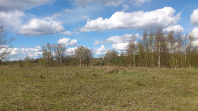 Działka rolno-budowlana Tumiany. Zdjęcie 1