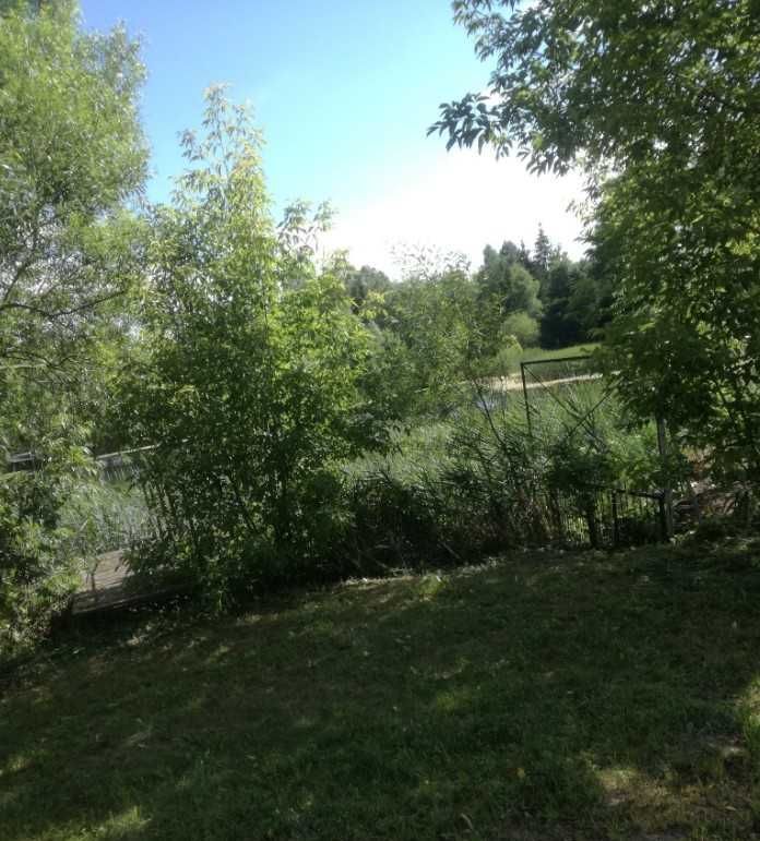 Działka budowlana Księżyno-Kolonia. Zdjęcie 1