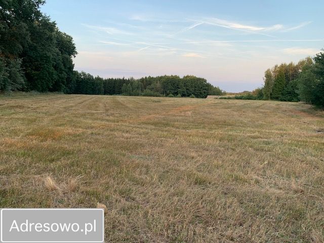Działka rolna Rzystnowo. Zdjęcie 13