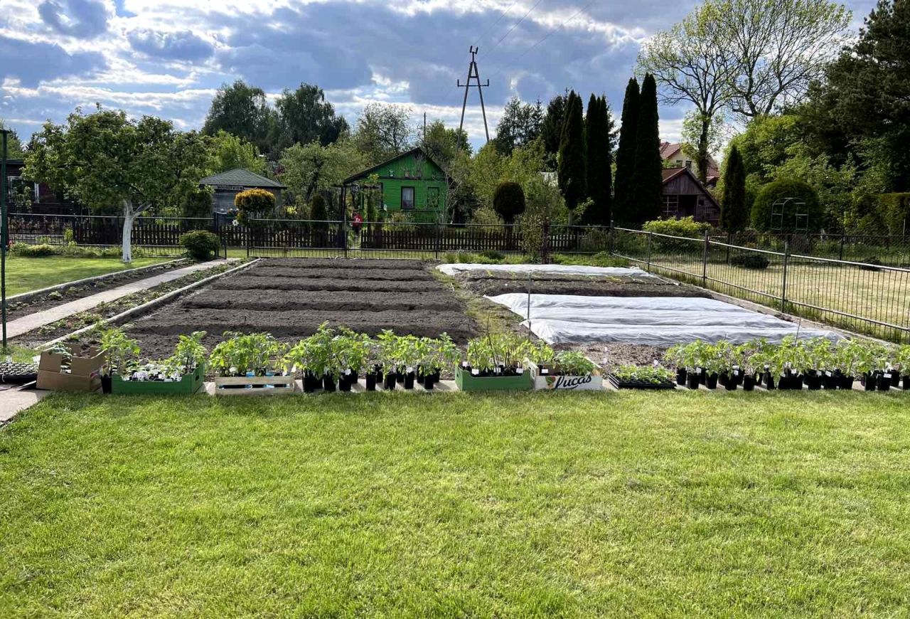 Działka rod Białystok Wygoda, ul. Krzysztofa Pendereckiego. Zdjęcie 13