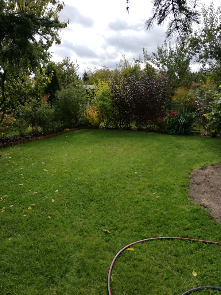 Działka rod Warszawa Bemowo, Dzialka ROD Bemowo II. Zdjęcie 24