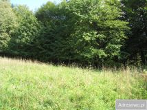 Działka rolna Kąty. Zdjęcie 4